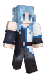 Minecraft skin — Classic model