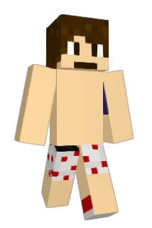 3610 Minecraft avatar full body