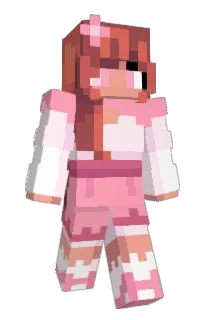 Front of lowquotaslol's skin