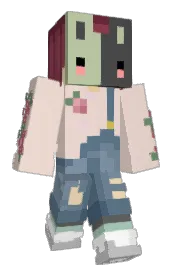 Skin preview