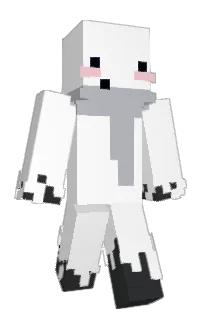 Front of Minecraft skin
