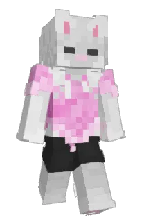 Front of Jackakk's skin