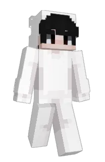 Front of seany's skin