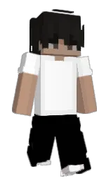 Slim Minecraft skin