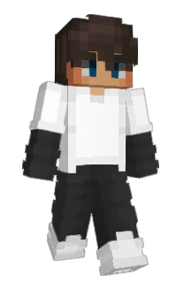 Front of NP08's skin