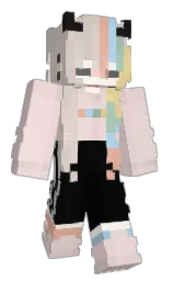 Minecraft skin — Classic model
