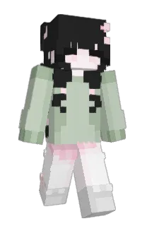 Front of Minecraft skin