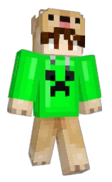 Minecraft skin — Classic model