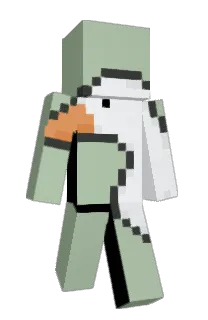 Front of Albert_Meijn's skin
