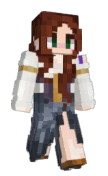 Minecraft skin — Classic model