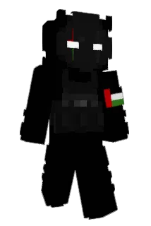365s Minecraft avatar full body