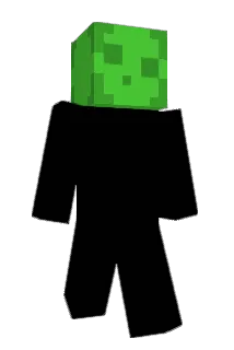 365tuj Minecraft avatar full body
