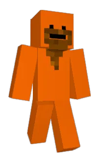 Front of fercetti's skin
