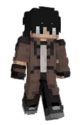 SebTint