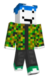 Skin preview