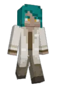 DuckDuckHjonk