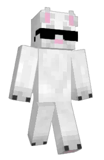 Front of LlDI's skin
