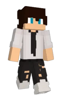 Front of Goottsy's skin