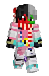 Front of PIRlLA's skin