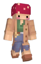 Skin preview