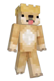 369420 Minecraft avatar full body
