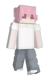 n0tash's Minecraft skin