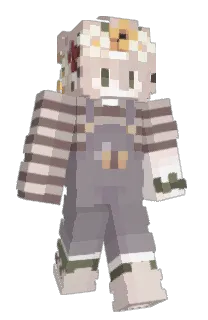 Front of chwves's skin