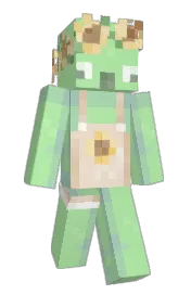 Skin preview