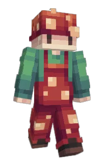 Front of Minecraft skin