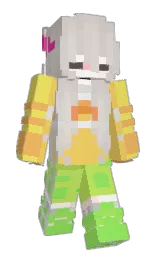 Minecraft skin — Classic model
