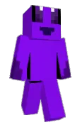 spyflyimy