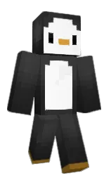 son9664's Minecraft skin wearing the Migrator cape