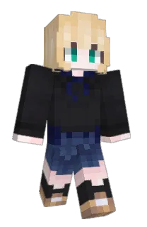 Front of renattoon's skin