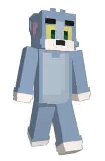 Front of yPollar's skin