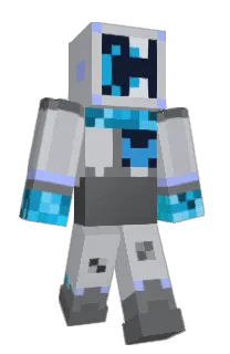Front of criii's skin