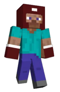 Front of Beemblecraft's skin
