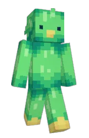 Skin preview