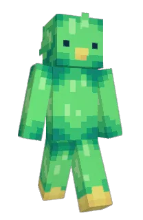 Front of Minecraft skin