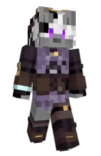 Front of waffelkins's skin