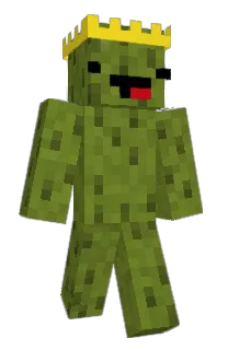 Pickolas_'s Minecraft skin