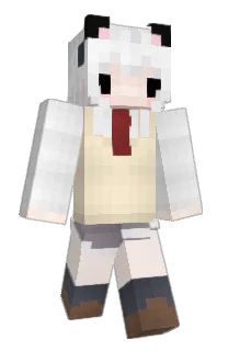 Front of Minecraft skin