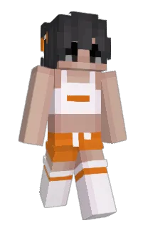 Front of FireUsage's skin