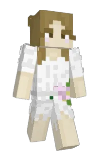 clovakia's Minecraft skin