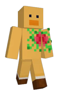 Front of Minecraft skin
