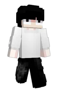 Front of ilybia's skin