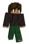 Robin_AV