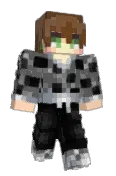 MrIcepack