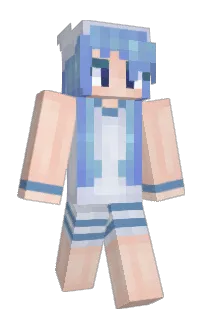 Front of Dispost's skin