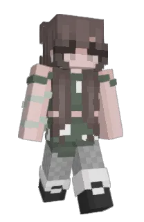 frankaaron2's Minecraft skin