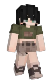 Skin preview